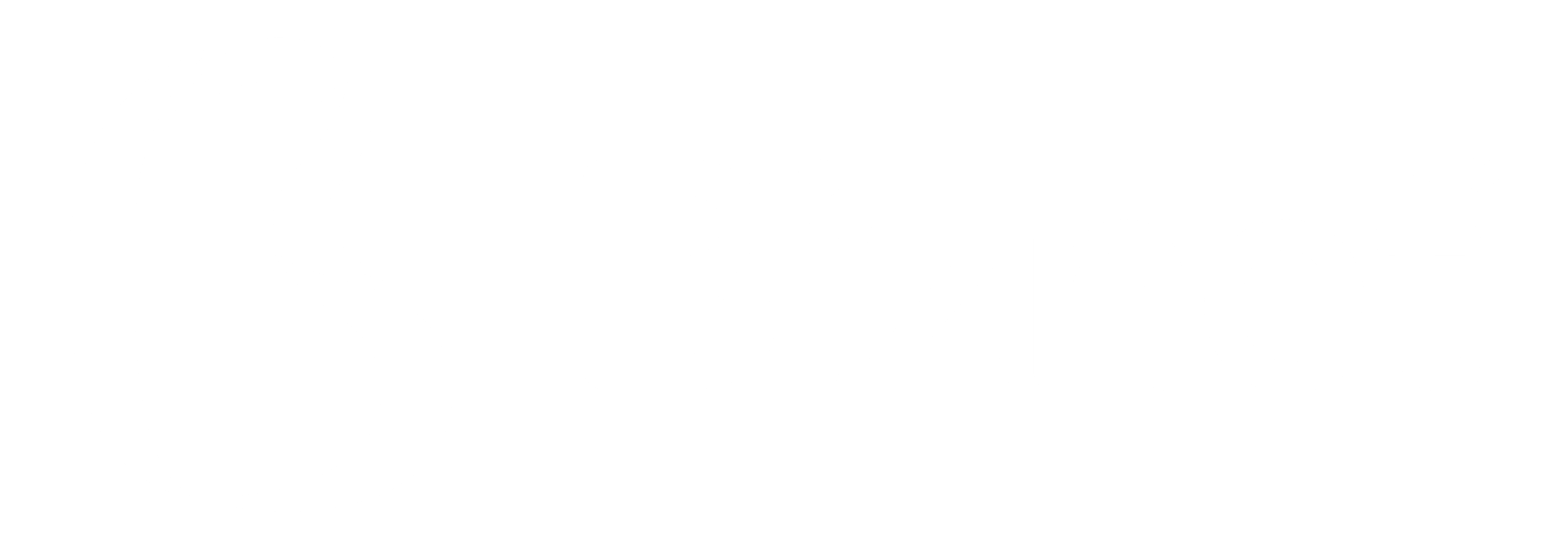 Biznet White